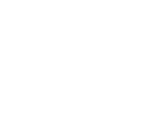 IGNITE, Where Bold Begins