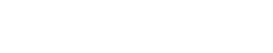 Where Bold Begins